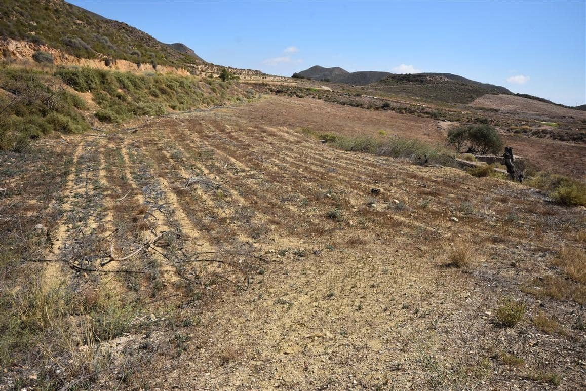 Undeveloped Land for sale in Morata - € 149,995 (Ref: 7904805)