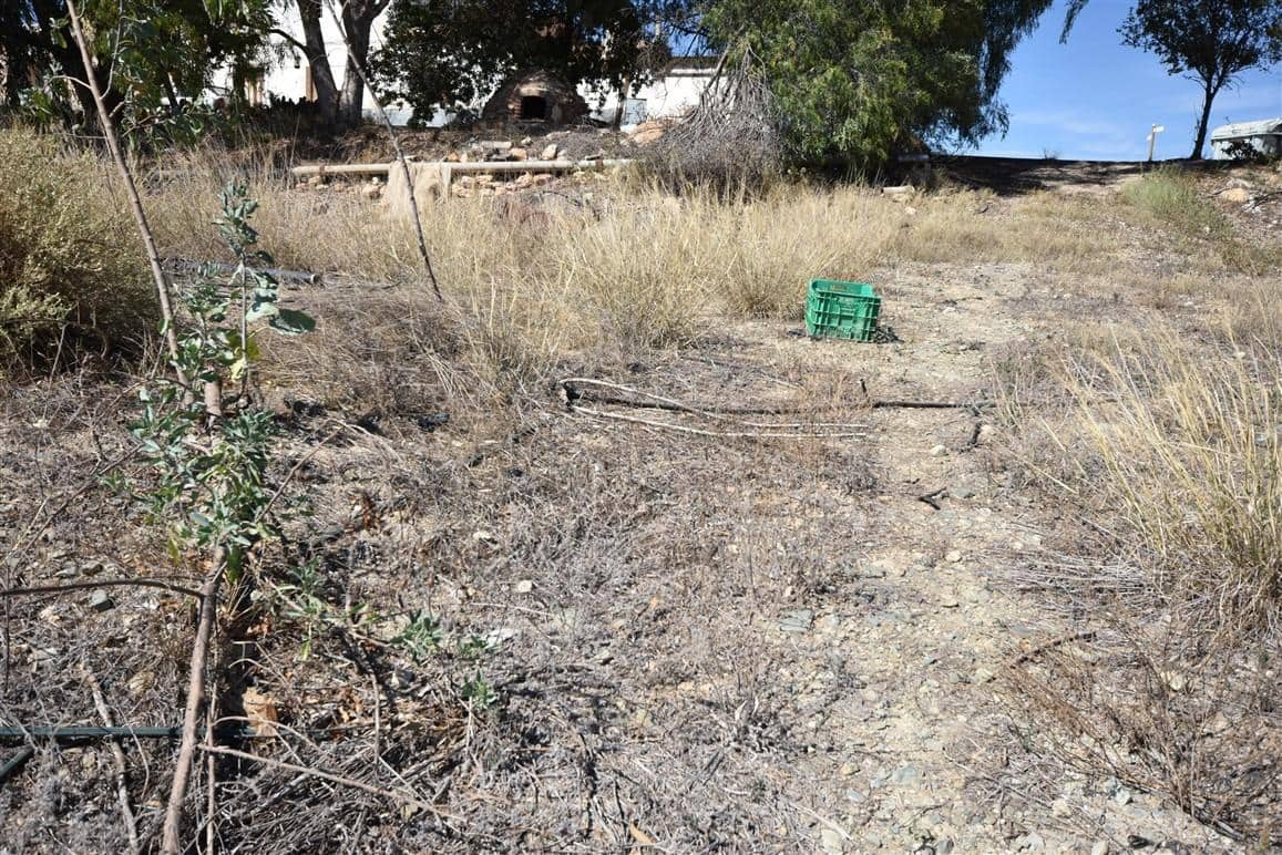 Undeveloped Land for sale in Morata - € 149,995 (Ref: 7904805)