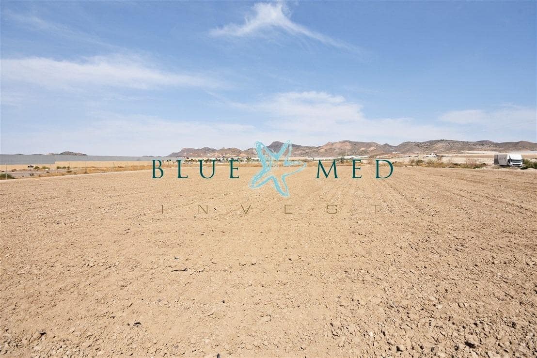 Terre non Aménagée à vendre à Mazarron - 99 000 € (Ref: 8181842)