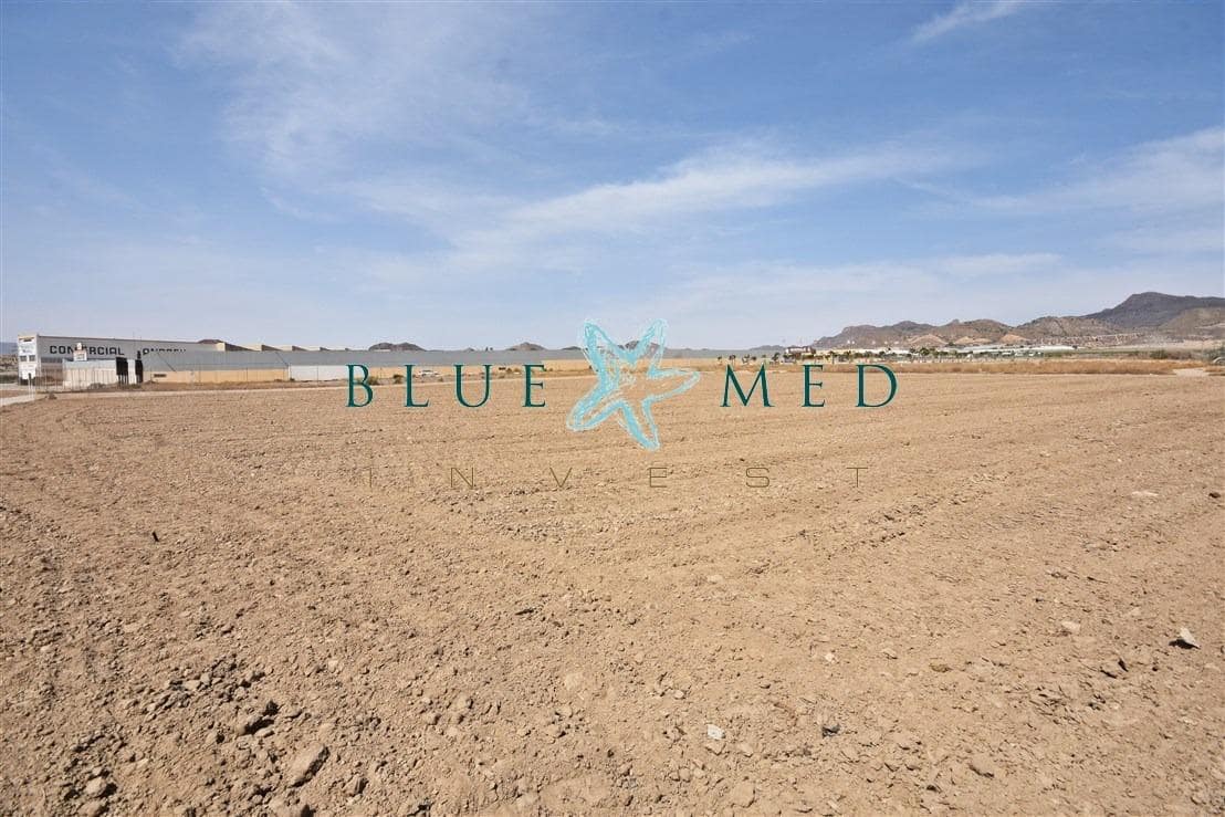 Terre non Aménagée à vendre à Mazarron - 99 000 € (Ref: 8181842)