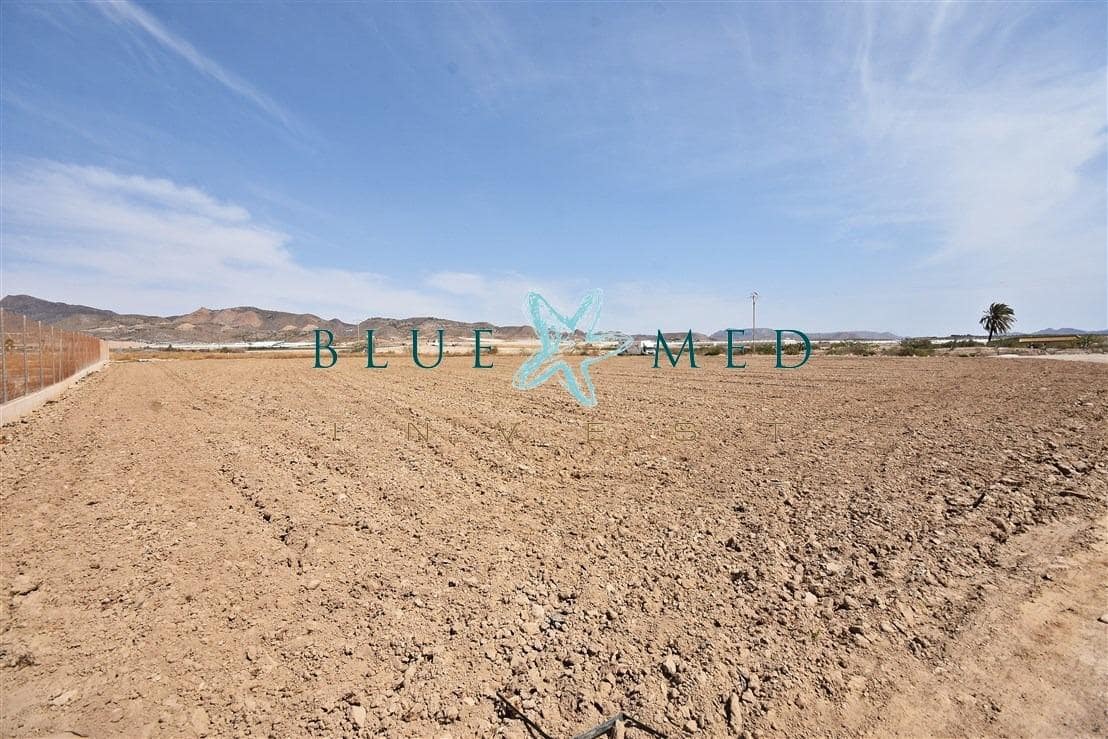 Terre non Aménagée à vendre à Mazarron - 99 000 € (Ref: 8181842)