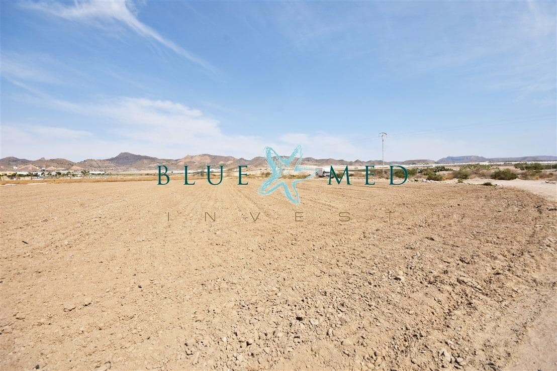 Terre non Aménagée à vendre à Mazarron - 99 000 € (Ref: 8181842)