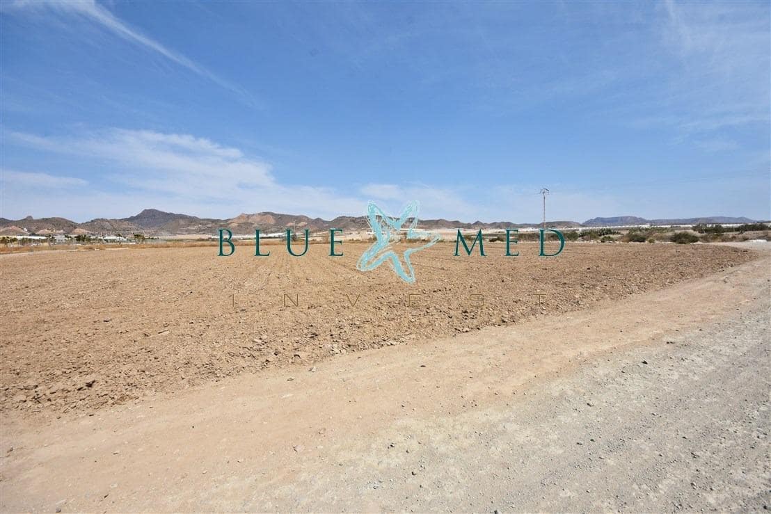 Terre non Aménagée à vendre à Mazarron - 99 000 € (Ref: 8181842)