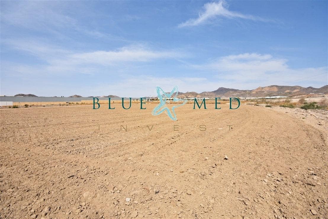 Terre non Aménagée à vendre à Mazarron - 99 000 € (Ref: 8181842)