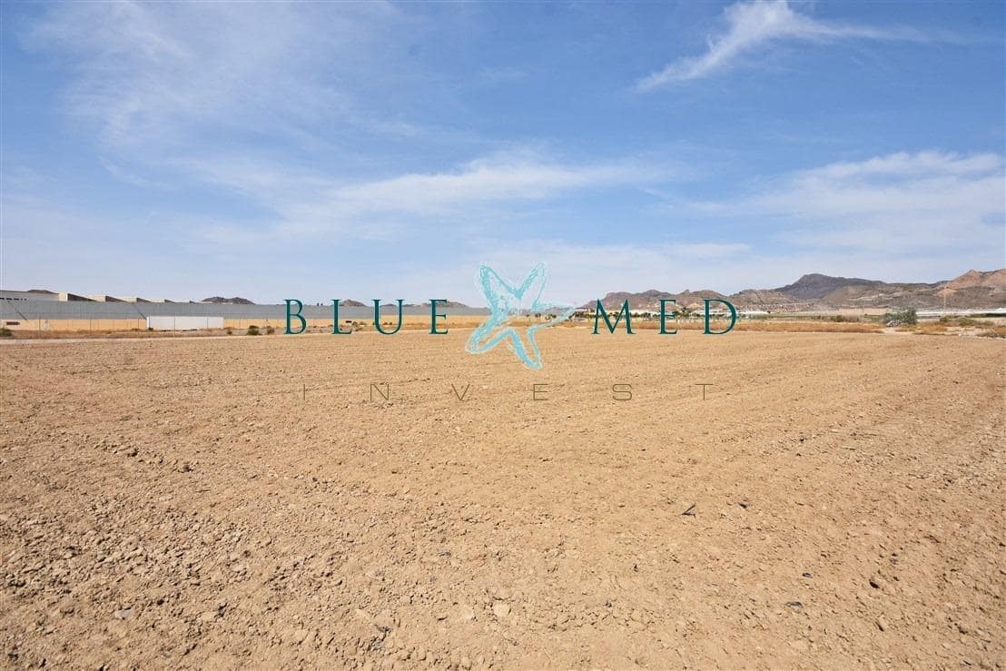 Terre non Aménagée à vendre à Mazarron - 99 000 € (Ref: 8181842)