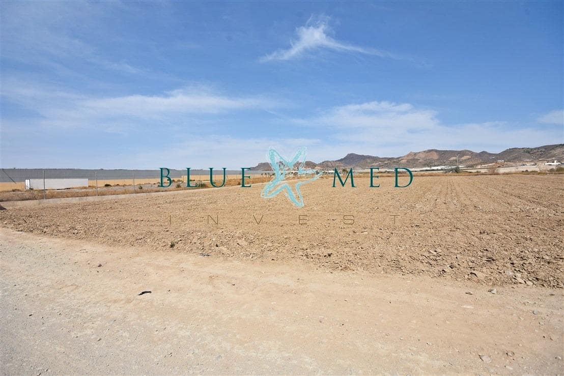 Terre non Aménagée à vendre à Mazarron - 99 000 € (Ref: 8181842)