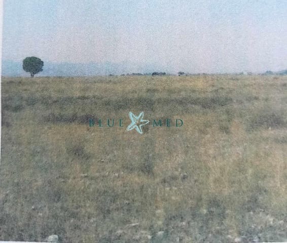 Ubebygd land til salgs i La Parroquia, Lorca - € 55 000 (Ref: 8417635)