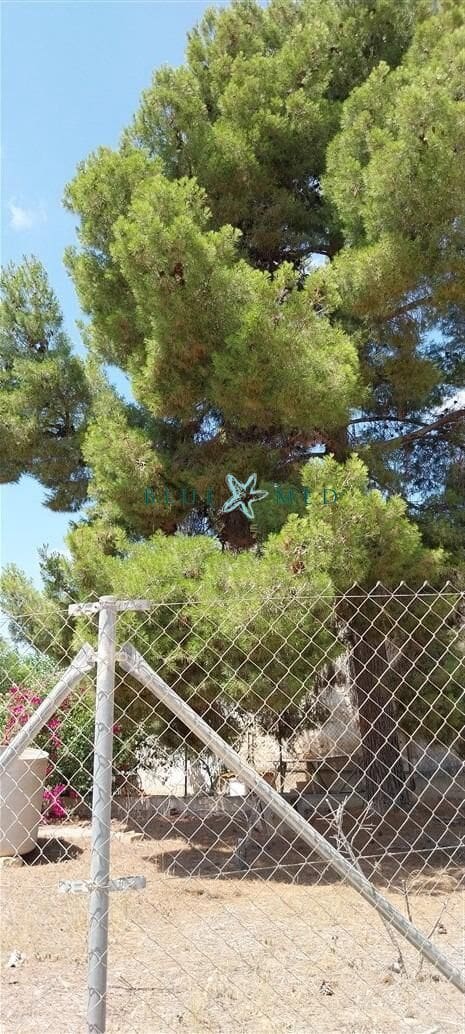 2 sypialnia Finka/Dom wiejski na sprzedaż w Alhama de Murcia - 139 000 € (Ref: 8438931)