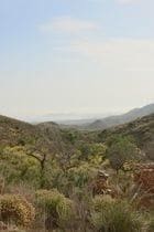 Undeveloped Land for sale in Los Puertos, Cartagena - € 32,900 (Ref: 8662785)