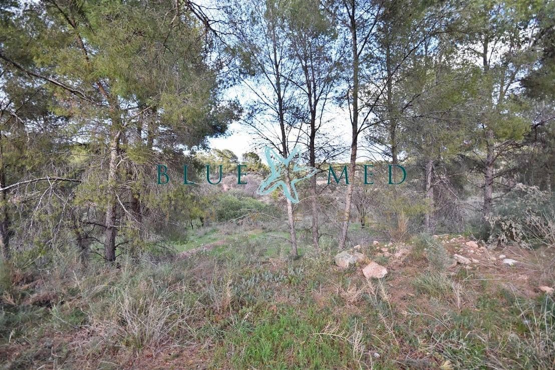 Terrain à Bâtir à vendre à Totana - 180 000 € (Ref: 8689230)