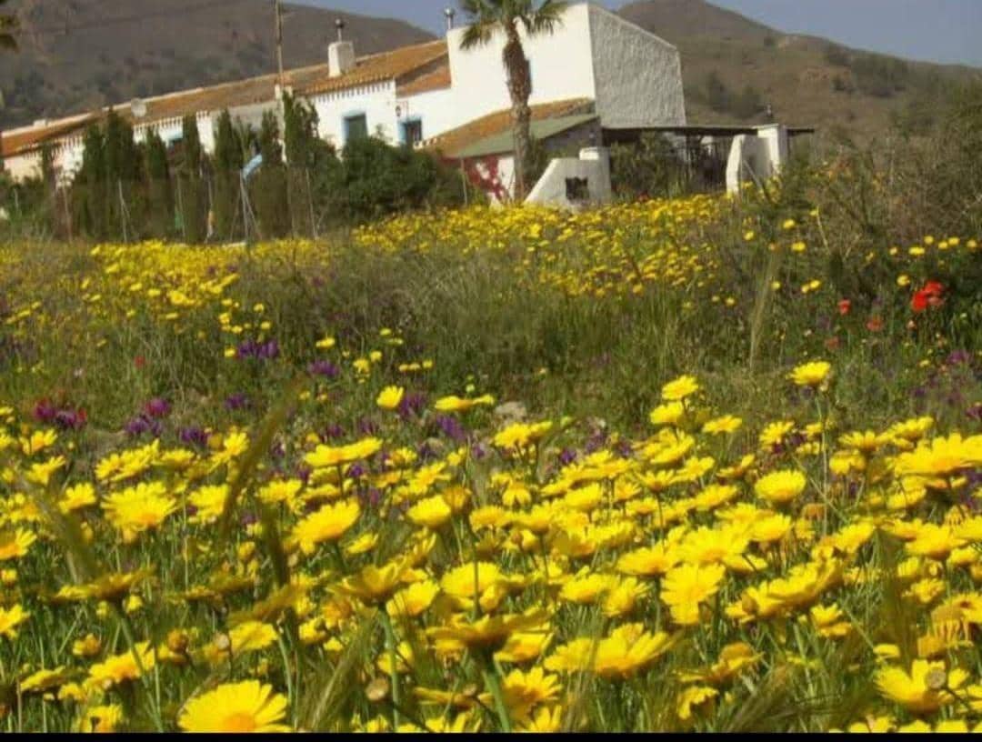 3 sypialnia Finka/Dom wiejski na sprzedaż w Mazarron z basenem - 284 995 € (Ref: 8968245)