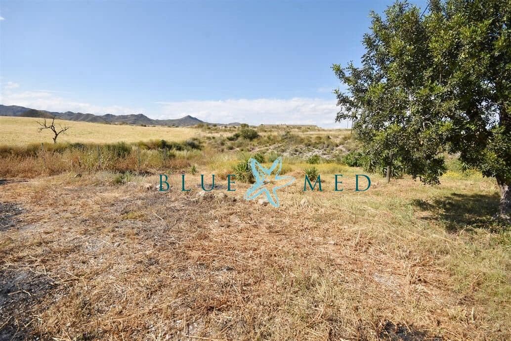 3 sypialnia Finka/Dom wiejski na sprzedaż w Mazarron z basenem - 284 995 € (Ref: 8968245)