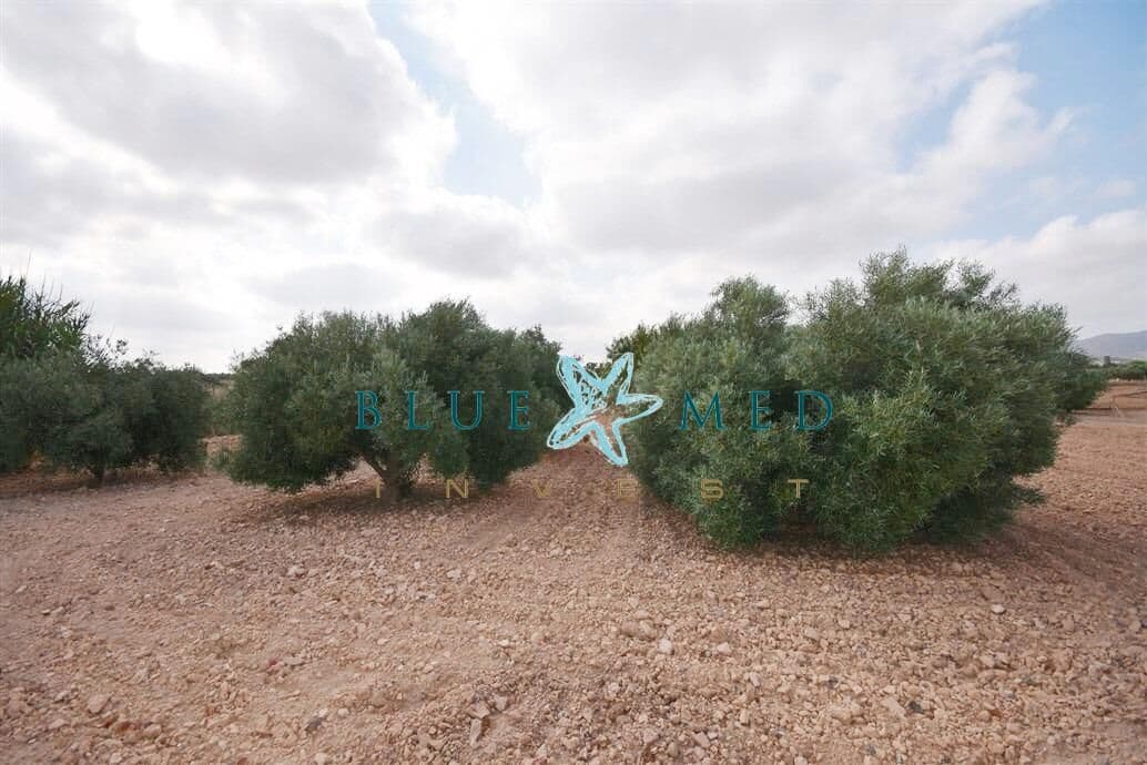 3 soveværelse Finca/Landehus til salg i La Pinilla - € 249.995 (Ref: 9096051)