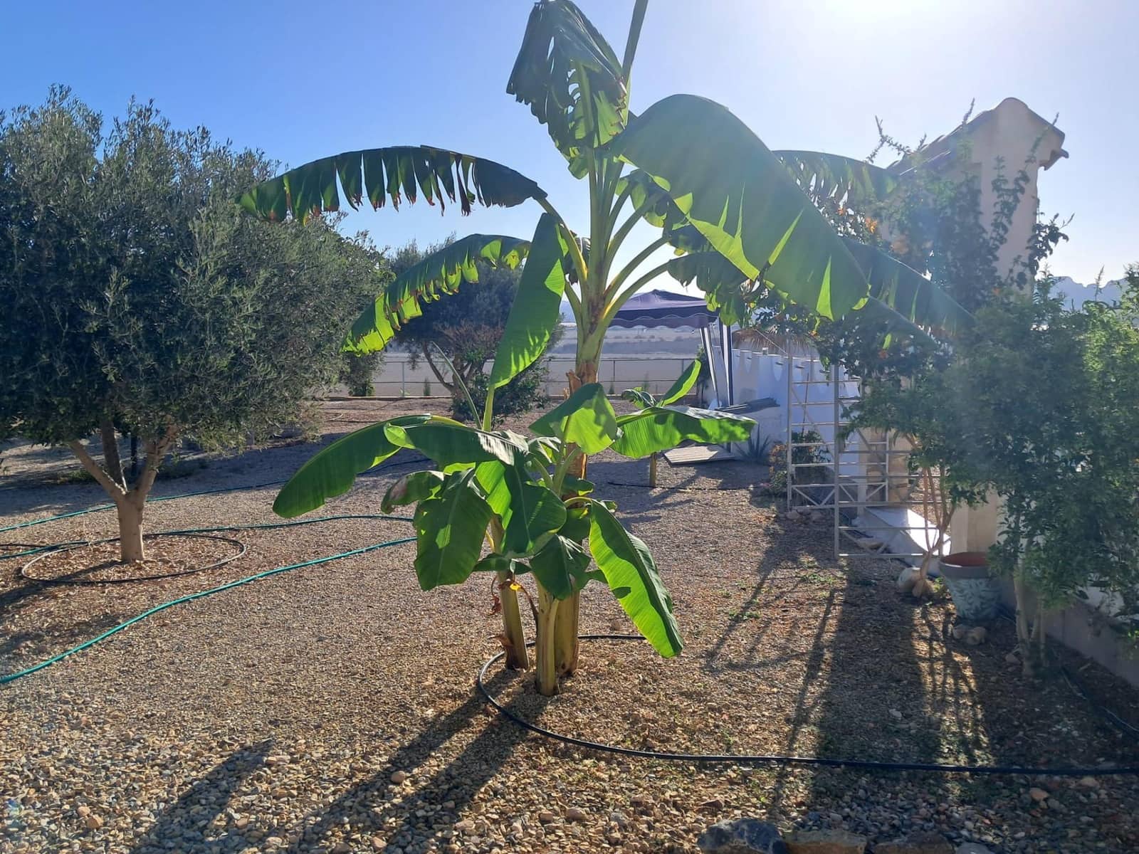 1 soveværelse Finca/Landehus til salg i Mazarron med swimmingpool - € 269.000 (Ref: 9110263)