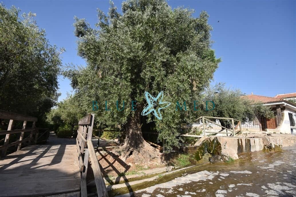 6 soverom Kommersiell til salgs i Zarzadilla de Totana - € 160 000 (Ref: 9171390)