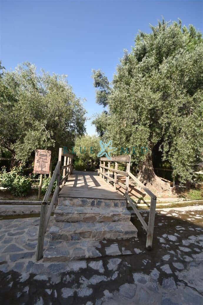Kommersiell till salu i Zarzadilla de Totana - 93 900 € (Ref: 9171390)