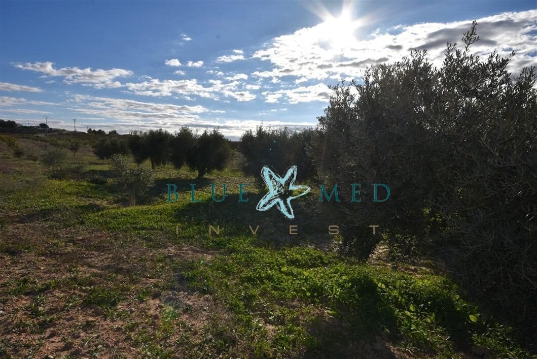 Mark till salu i El Pareton - 29 900 € (Ref: 9419752)