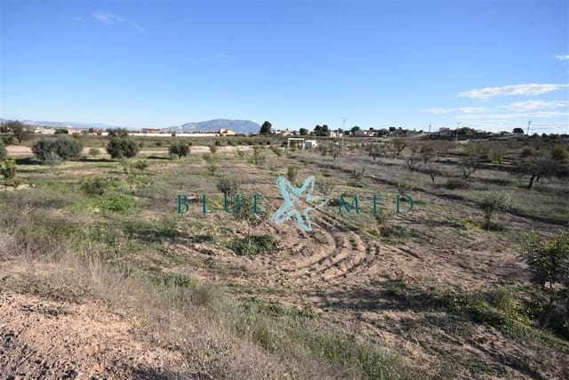 Mark till salu i El Pareton, Totana - 29 900 € (Ref: 9419752)