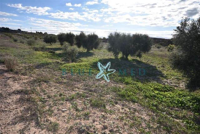 Mark till salu i El Pareton, Totana - 29 900 € (Ref: 9419752)