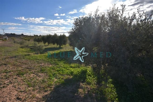 Mark till salu i El Pareton, Totana - 29 900 € (Ref: 9419752)