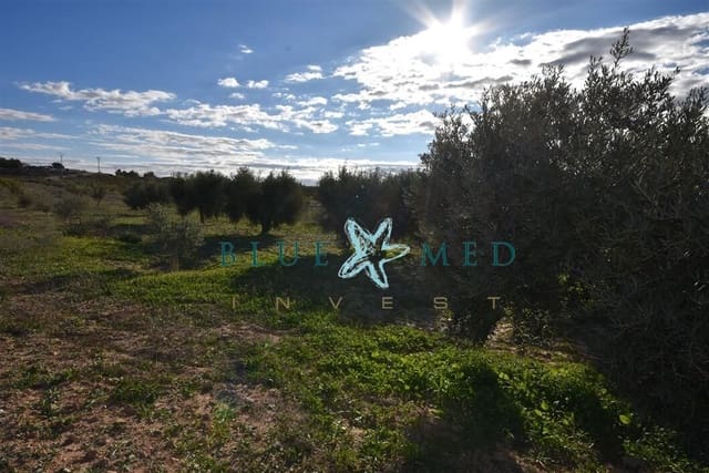 Mark till salu i El Pareton, Totana - 29 900 € (Ref: 9419752)