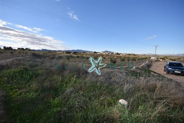 Mark till salu i El Pareton, Totana - 29 900 € (Ref: 9419752)