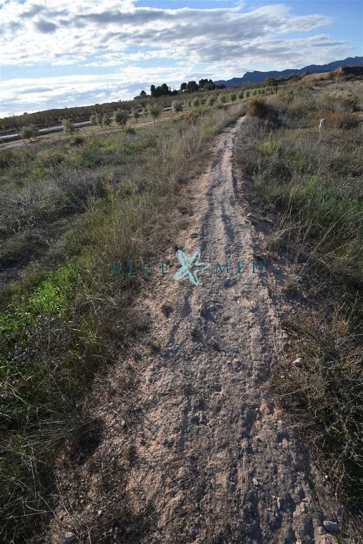 Mark till salu i El Pareton - 29 900 € (Ref: 9419752)