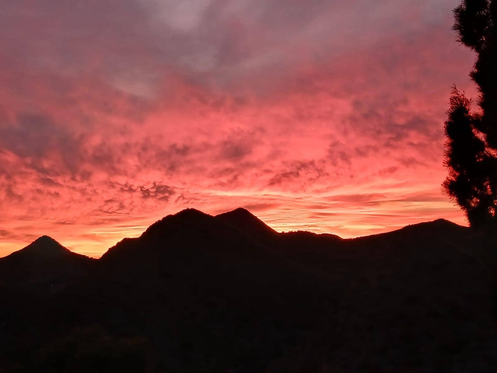 2 bedroom Finca/Country House for sale in Aguilas with pool - € 299,900 (Ref: 9462075)