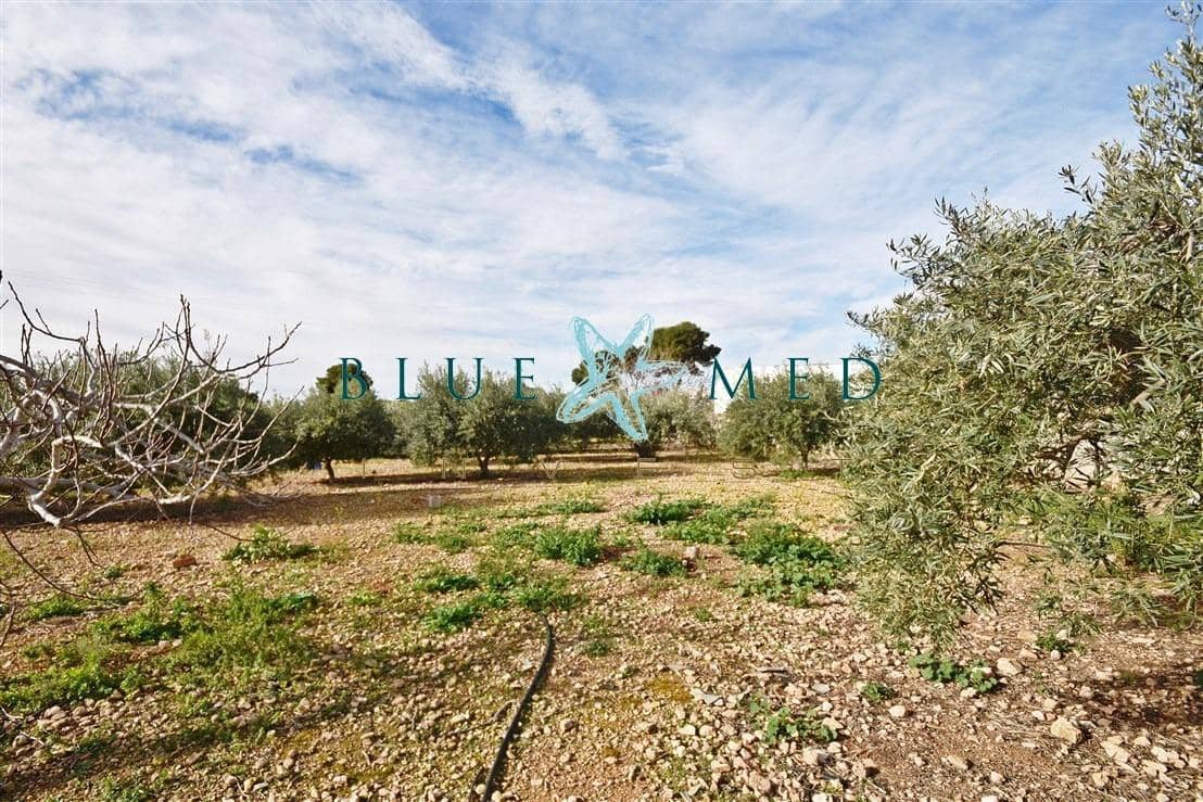 1 bedroom Finca/Country House for sale in Alamillo with pool - € 319,900 (Ref: 9565234)