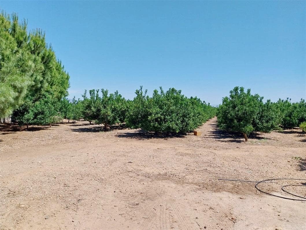 2 sovrum Finca/Hus på landet till salu i La Pinilla - 209 995 € (Ref: 9881930)