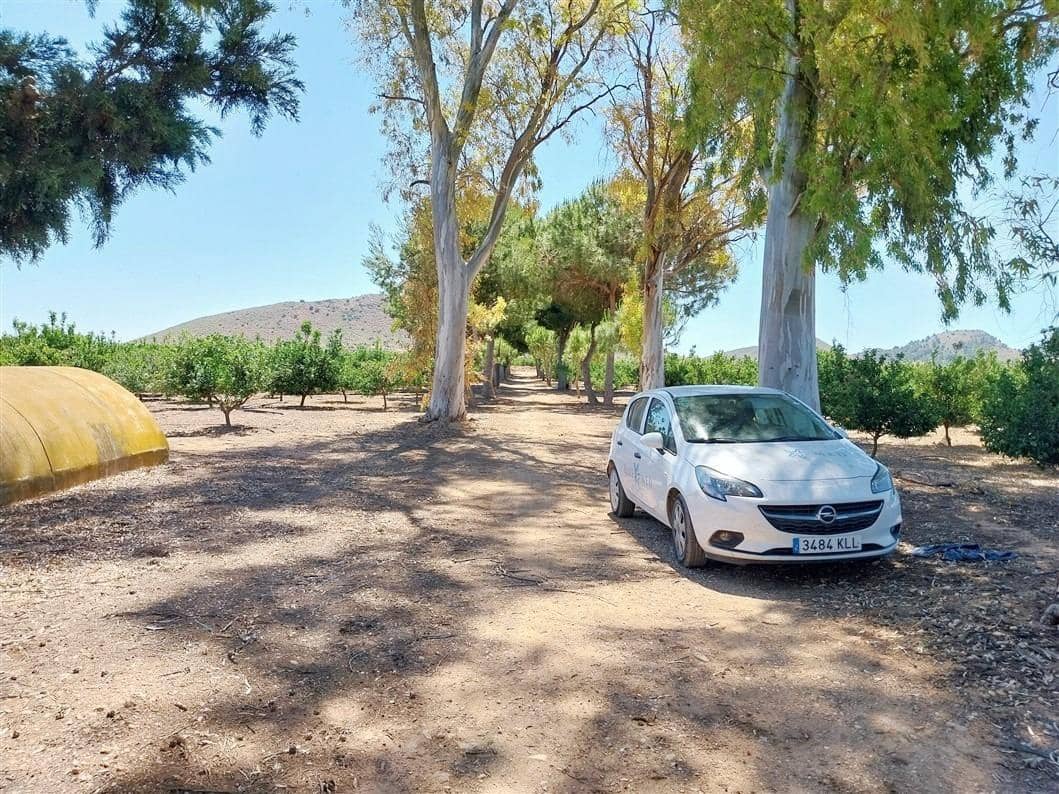 2 sovrum Finca/Hus på landet till salu i La Pinilla - 209 995 € (Ref: 9881930)