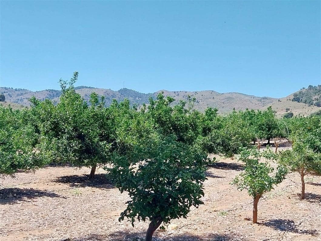 2 sovrum Finca/Hus på landet till salu i La Pinilla - 209 995 € (Ref: 9881930)
