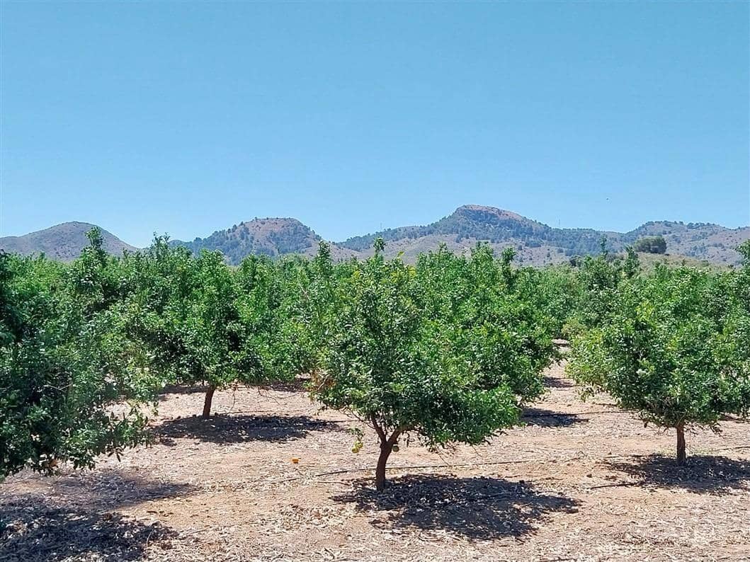 2 sovrum Finca/Hus på landet till salu i La Pinilla - 209 995 € (Ref: 9881930)