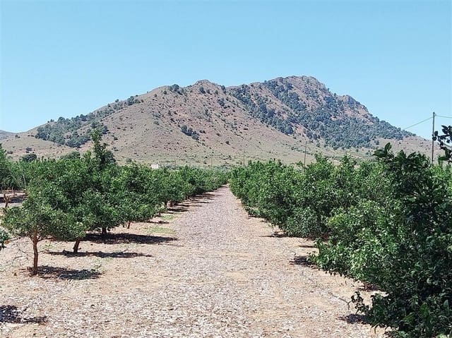 2 sovrum Finca/Hus på landet till salu i La Pinilla, Fuente Alamo de Murcia - 209 995 € (Ref: 9881930)