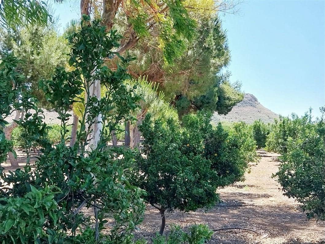 2 sovrum Finca/Hus på landet till salu i La Pinilla - 209 995 € (Ref: 9881930)