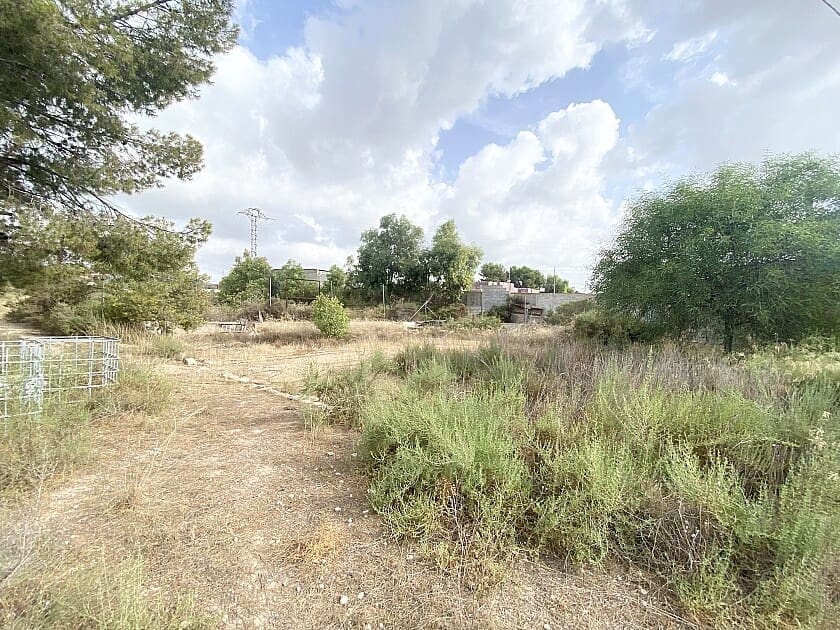 4 makuuhuone Huvila myytävänä paikassa Crevillente / Crevillent mukana uima-altaan 
autotalli - 699 990 € (Ref: 7785987)