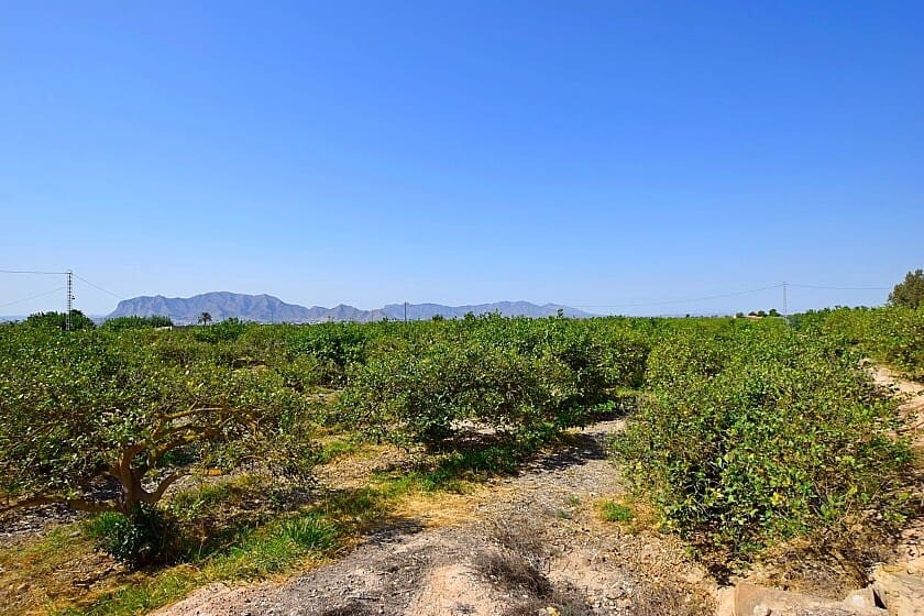 3 soverom Villa til salgs i Albatera med garasje - € 175 000 (Ref: 8469090)