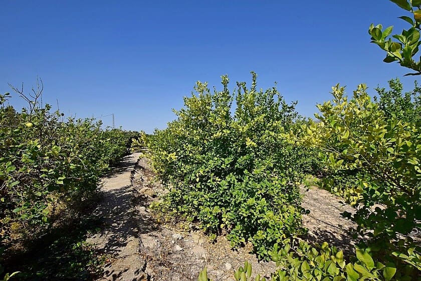 3 soverom Villa til salgs i Albatera med garasje - € 175 000 (Ref: 8469090)