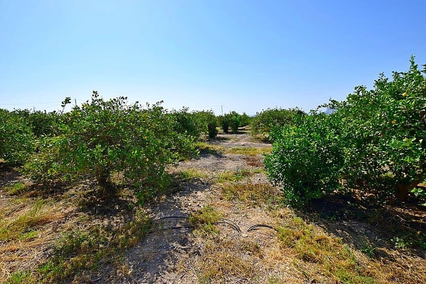 3 soverom Villa til salgs i Albatera med garasje - € 175 000 (Ref: 8469090)