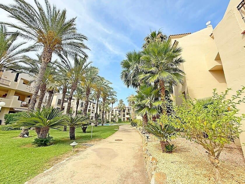 3 slaapkamer Appartement te koop in Roda met zwembad garage - € 256.000 (Ref: 9074205)