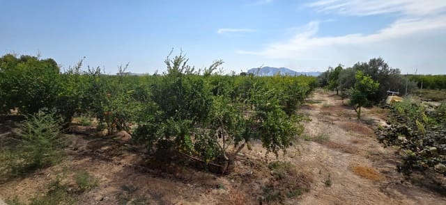 Grunde uden byggetilladelser til salg i San Isidro - € 79.900 (Ref: 9235441)