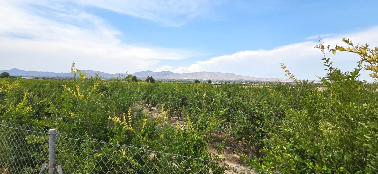 Grunde uden byggetilladelser til salg i San Isidro - € 79.900 (Ref: 9235441)