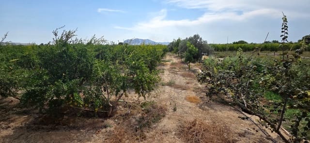 Grunde uden byggetilladelser til salg i San Isidro - € 79.900 (Ref: 9235441)