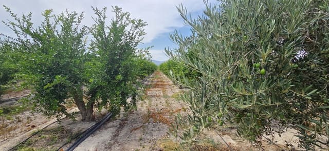 Grunde uden byggetilladelser til salg i San Isidro - € 79.900 (Ref: 9235441)