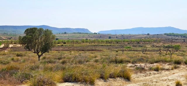 Bouwgrond te koop in San Miguel de Salinas - € 360.000 (Ref: 9235442)