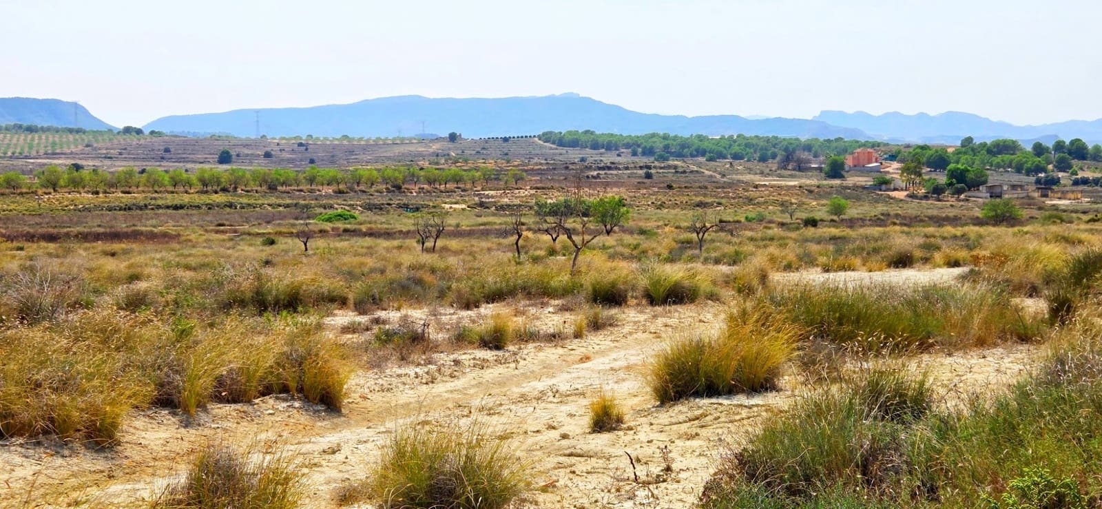 Bouwgrond te koop in San Miguel de Salinas - € 360.000 (Ref: 9235442)