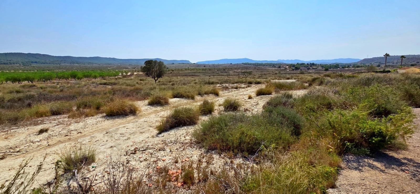 Bouwgrond te koop in San Miguel de Salinas - € 360.000 (Ref: 9235442)