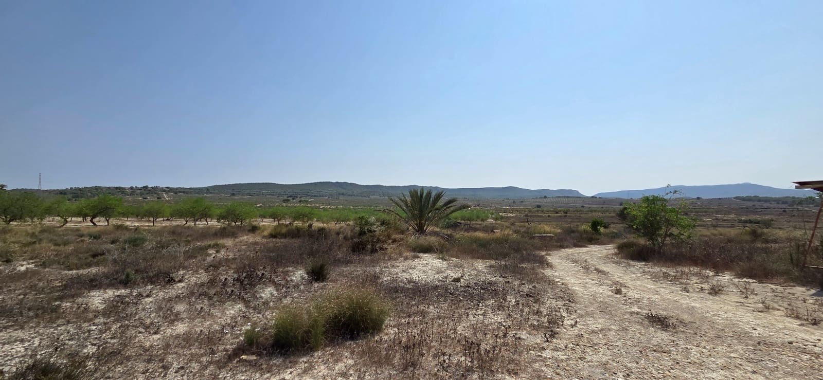 Bouwgrond te koop in San Miguel de Salinas - € 360.000 (Ref: 9235442)