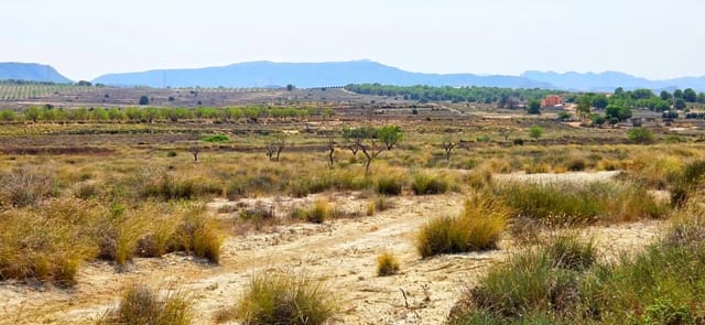 Bouwgrond te koop in San Miguel de Salinas - € 360.000 (Ref: 9235442)