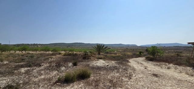 Bouwgrond te koop in San Miguel de Salinas - € 360.000 (Ref: 9235442)